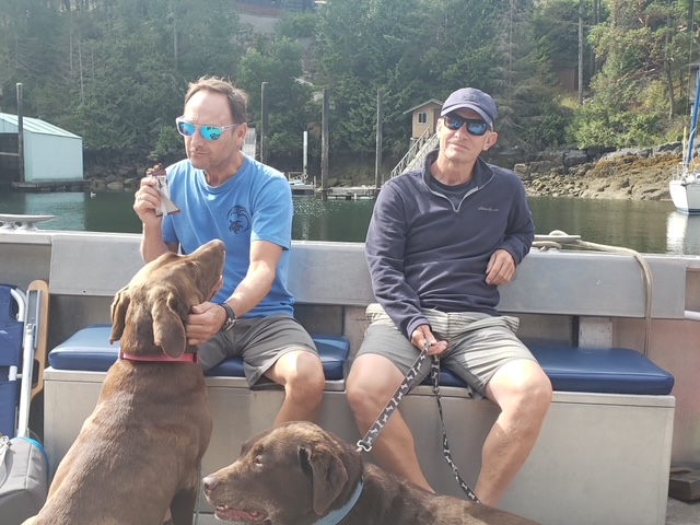 2 dogs